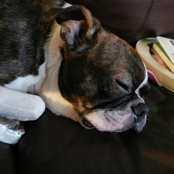 Meet your Posher, Amanda - Picture 1 of 1